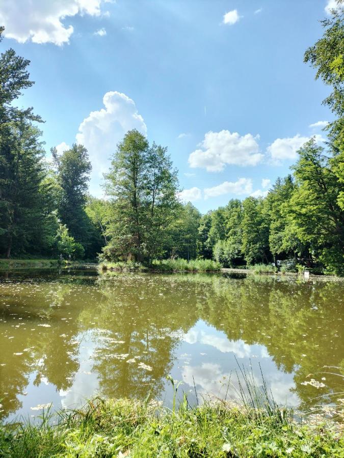 Apartament Les Capucines La Souris Des Champs Étival-Clairefontaine Zewnętrze zdjęcie