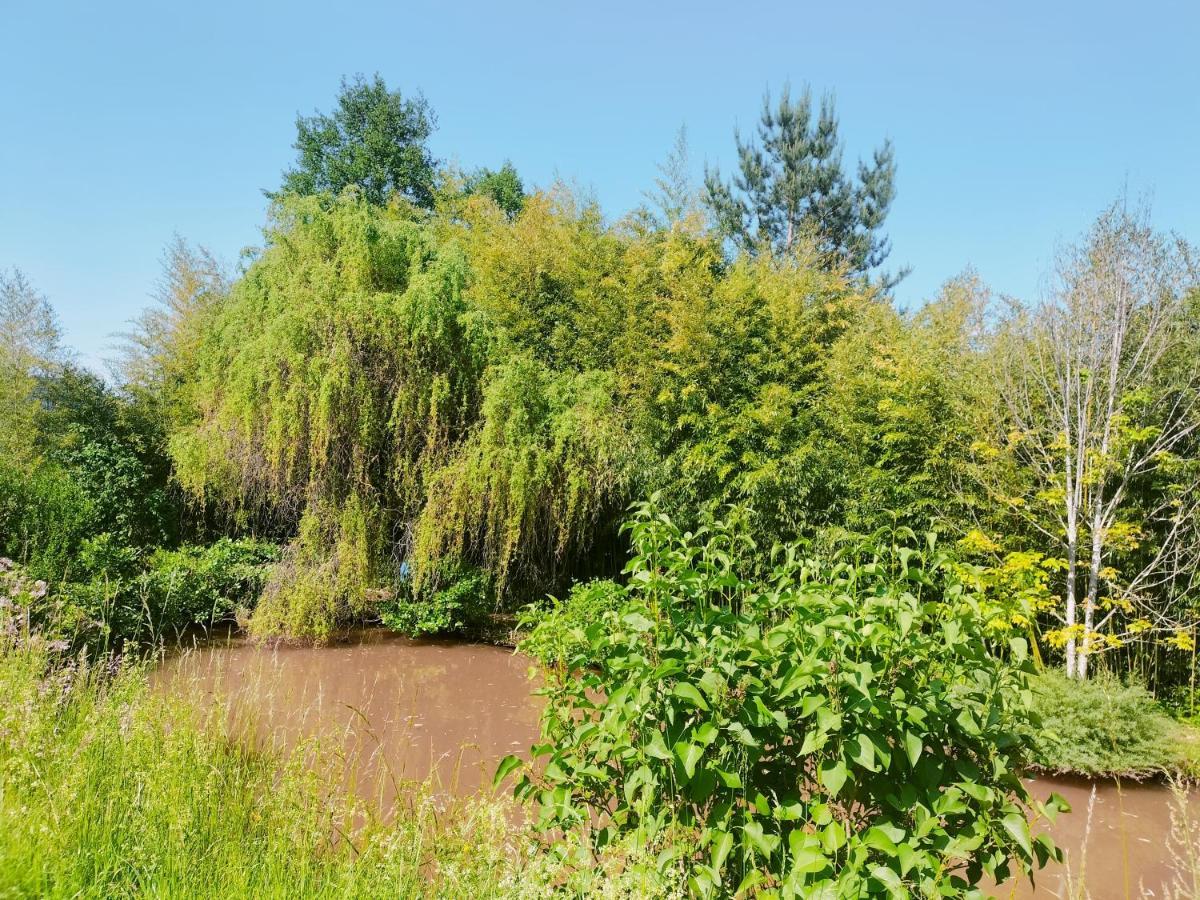 Apartament Les Capucines La Souris Des Champs Étival-Clairefontaine Zewnętrze zdjęcie